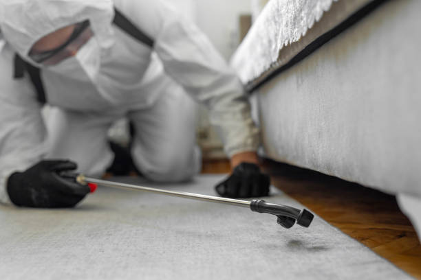 Professional Pest Control technician working in Eagle County County, CO
